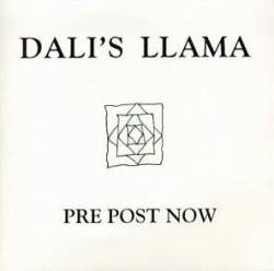 Dali's Llama : Pre Post Now